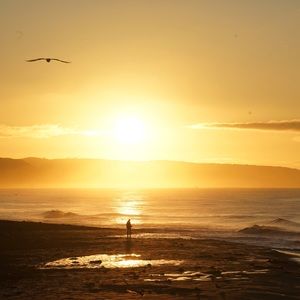 Meet your Posher, Raynard